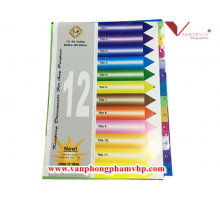 BÌA PHÂN TRANG NHỰA A4 12 SỐ T.P