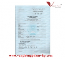HỢP ĐỒNG LAO ĐỘNG THEO MẪU - 1000 TỜ/XẤP